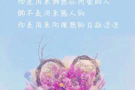 舞阳私家调查